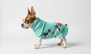 petwear200
