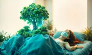 sensory-environment-design