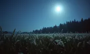 slovakia