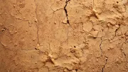 textures