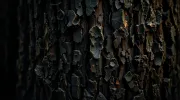 textures