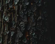 textures
