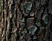 textures