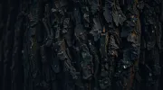 textures