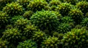 textures