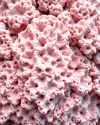 textures