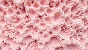 textures
