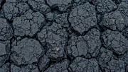 textures