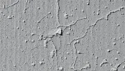 textures