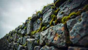 textures