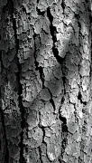 textures