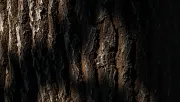 textures