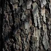 textures