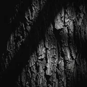 textures