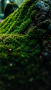 textures