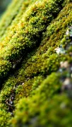 textures