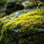 textures