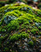 textures