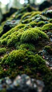 textures