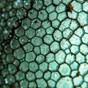 textures