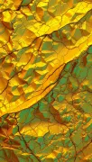 textures