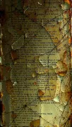 textures