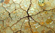 textures