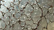 textures