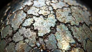textures
