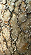 textures