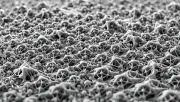 textures