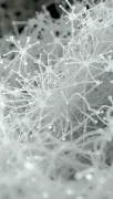 textures