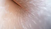 textures