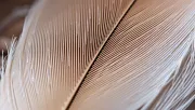 textures