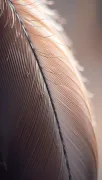 textures