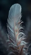 textures