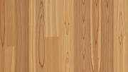 textures