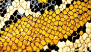 textures