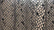 textures