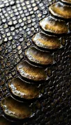 textures
