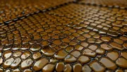textures