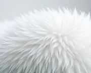 textures