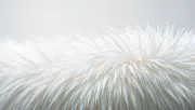 textures