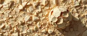 textures