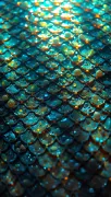 textures
