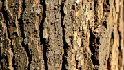 textures