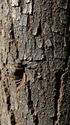 textures