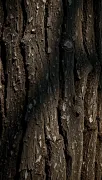 textures