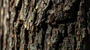 textures