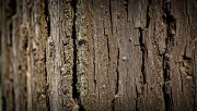 textures